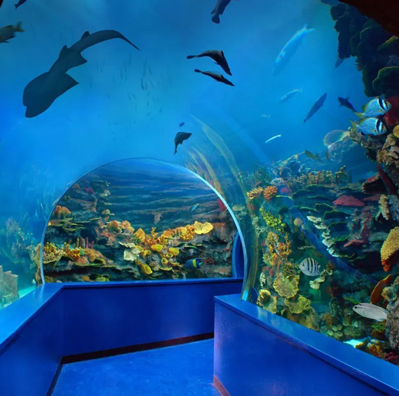 Sharjah Aquarium