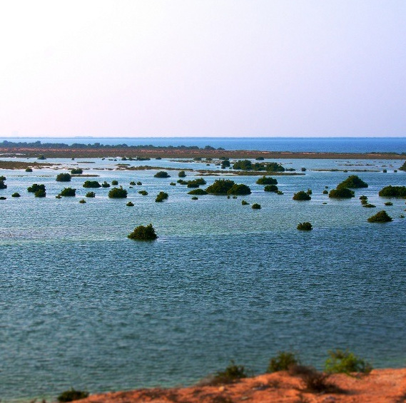 Al Sinniyah Island