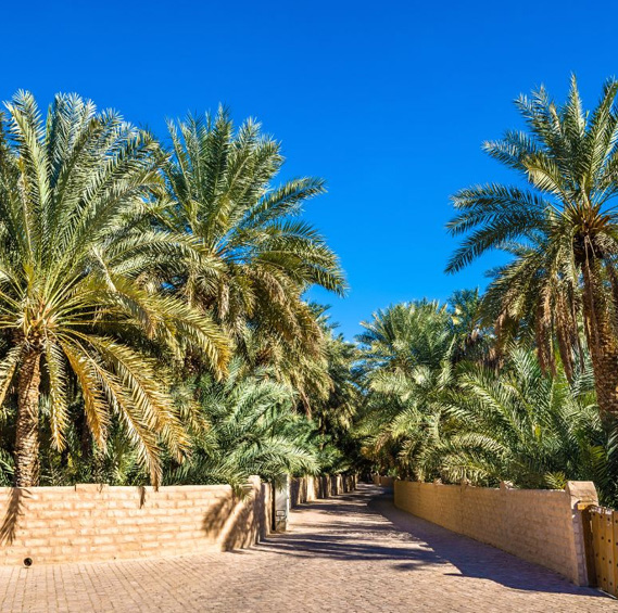 Al Ain Oasis